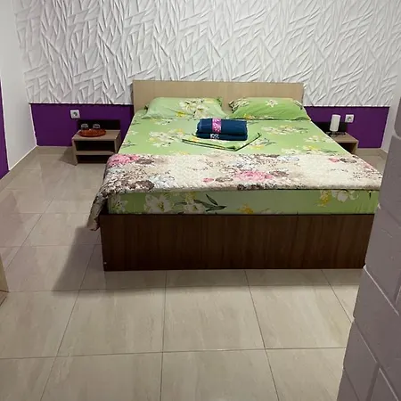 Pensionat Vlad Două Mai