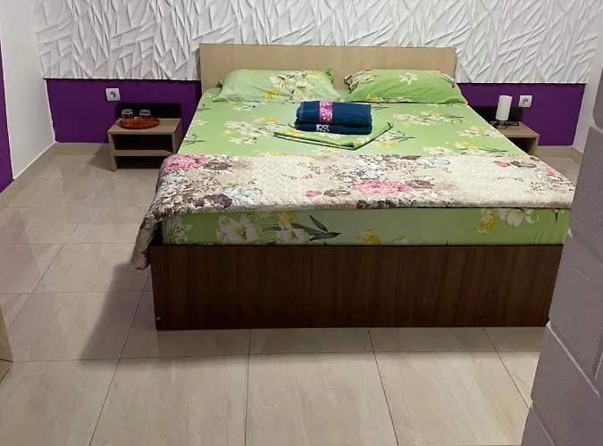 Πανσιόν Vlad Două Mai