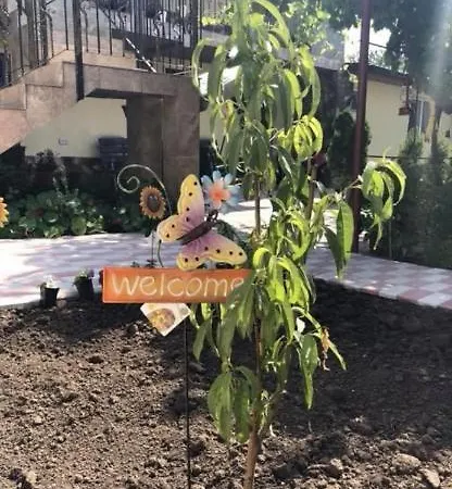 Vlad *